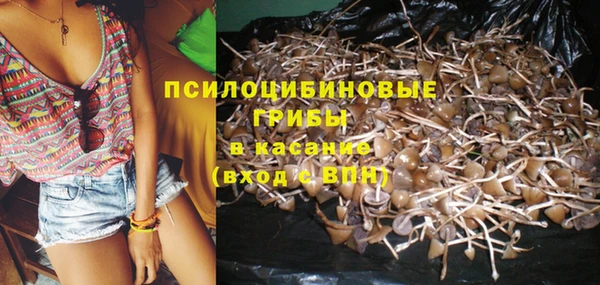 каннабис Новокубанск
