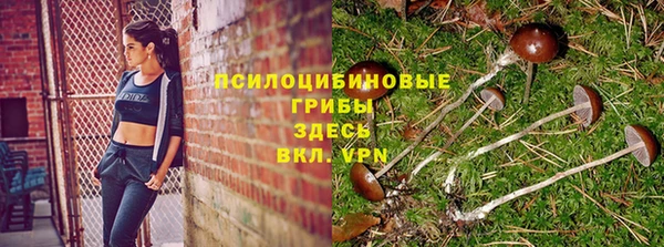 кокаин премиум Новодвинск