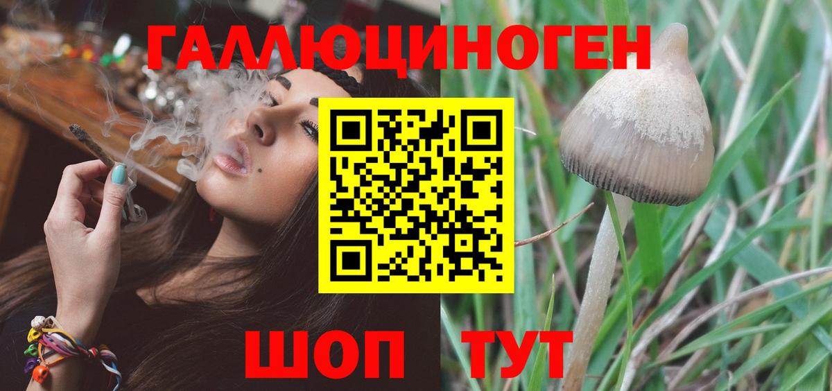 Магазины продажи наркотиков  Меф МЯУ МЯУ   Каннабис  Вход с VPN  КОКАИН  Лсд 25  Балахна  MDMA  МЕТ  Гашиш 