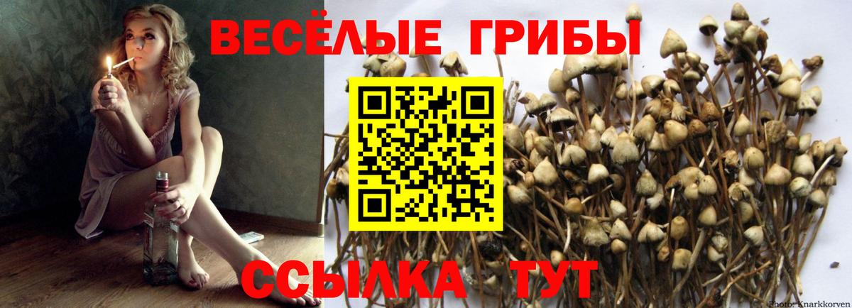 Псилоцибиновые грибы GOLDEN TEACHER  Вход с VPN  Балахна  Галлюциногенные грибы ЛСД 